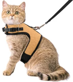 Kattentuigje Met Leiband Riem Kattenharnas Beige Maat M Kat & Kitten – Dieren Kattenriem – Cat Leash – Halsomvang 20 Tot 26cm – Borstomvang 30 Tot 34cm – Zootic®