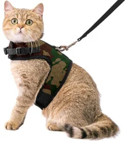 Kattentuigje Met Leiband Riem Kattenharnas Camouflage Maat L Kat & Kitten – Dieren Kattenriem – Cat Leash – Halsomvang 24 Tot 33cm – Borstomvang 36 Tot 41cm – Zootic®