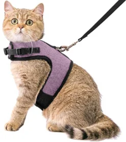 Kattentuigje Met Leiband Riem Kattenharnas Licht Paars Maat M Kat & Kitten – Dieren Kattenriem – Cat Leash – Halsomvang 20 Tot 26cm – Borstomvang 30 Tot 34cm – Zootic®