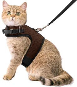 Kattentuigje Met Leiband Riem Kattenharnas Bruin Maat M Kat & Kitten – Dieren Kattenriem – Cat Leash – Halsomvang 20 Tot 26cm – Borstomvang 30 Tot 34cm – Zootic®