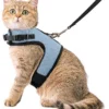 Kattentuigje Met Leiband Riem Kattenharnas Blauw Variant Maat L Kat & Kitten – Dieren Kattenriem – Cat Leash – Halsomvang 24 Tot 33cm – Borstomvang 36 Tot 41cm – Zootic®