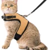 Kattentuigje Met Leiband Riem Kattenharnas Beige Maat L Kat & Kitten – Dieren Kattenriem – Cat Leash – Halsomvang 24 Tot 33cm – Borstomvang 36 Tot 41cm – Zootic®