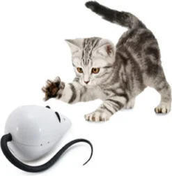 Katten Poezen Speelgoed Kat Poes Beweegbare Muis