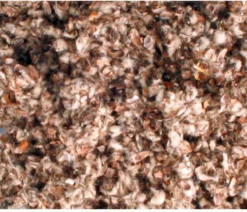 Flamingo Knaagdieraccessoires Katoenbedding Reukvrij – Beige – 15 Liter