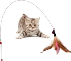 Speelhengel Kat – Kattenhengel – Belletje – Veren – Hengel Voor Kat – Kattenspeeltje
