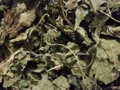 Kruidenbox Konijn – Moerbeiblad – Konijnenvoer