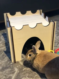 Konijnenhok | Speelhuisje | Speelgoed Voor Dieren |Konijn | Kat | Kasteel | 36cm X 36cm X 30cm