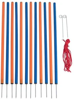 Agility Voor De Hond Slalom Set 12 Delig – 98 Cm Hoog – Agility Set – Honden Behendigheidsset – Slalom – Agility Set Voor De Hond – Agility Set