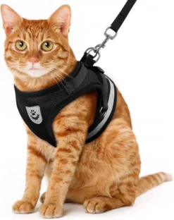 Kattentuigje, Borstharnas Voor De Kat – Zwart – Maat L